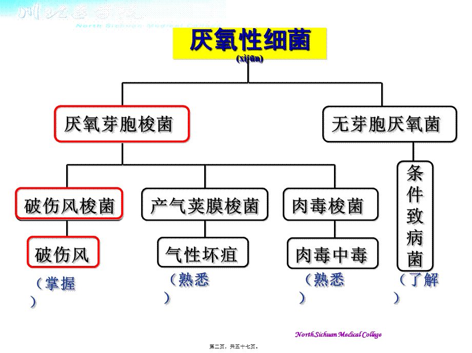 2022年医学专题—第12章-厌氧性细菌.ppt_第2页