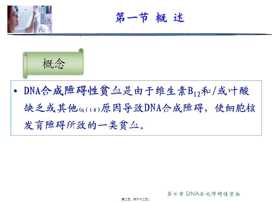 2022年医学专题—第七章DNA合成障碍性贫血.ppt_第2页