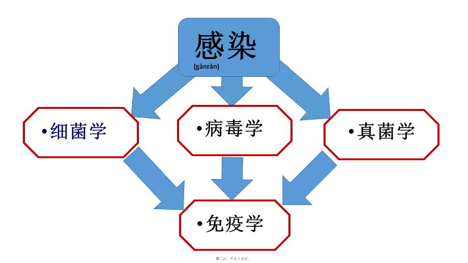 2022年医学专题—感染学基础知识.pptx_第2页