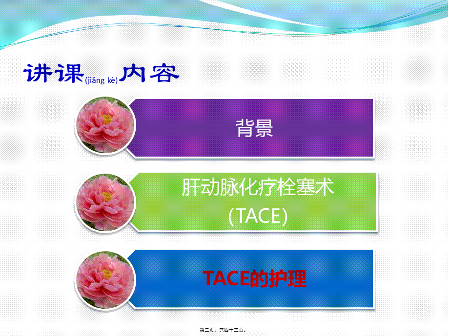 2022年医学专题—肝动脉化疗栓塞术(TACE).pptx_第2页