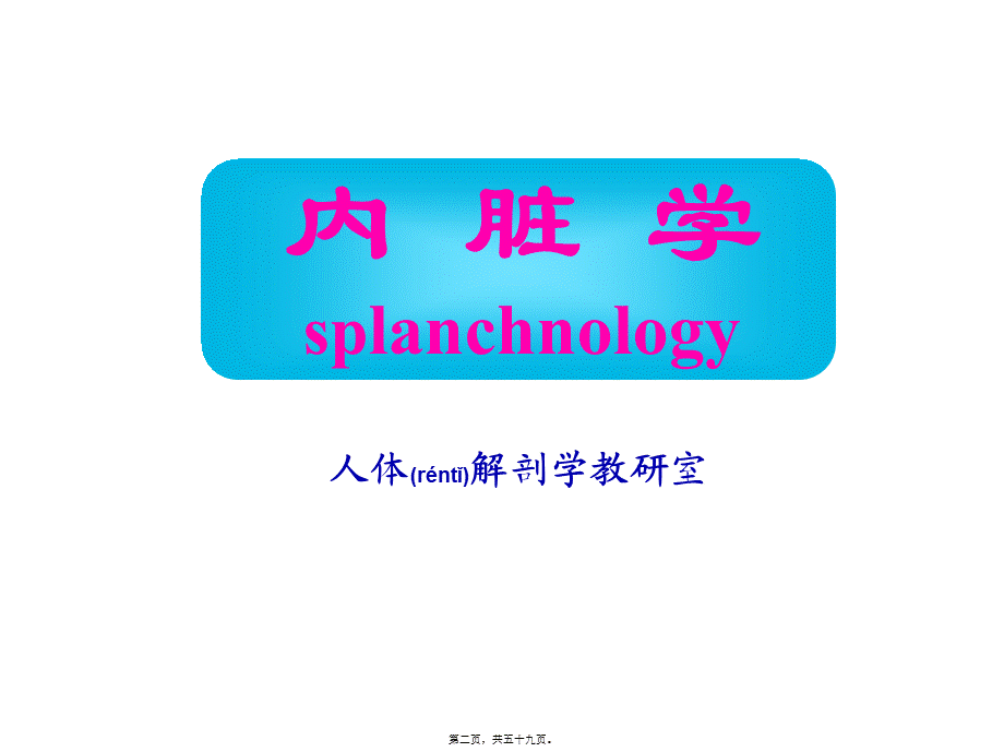 2022年医学专题—内脏总论、消化管(一).ppt_第2页