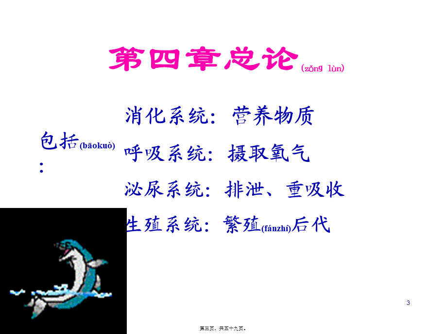 2022年医学专题—内脏总论、消化管(一).ppt_第3页