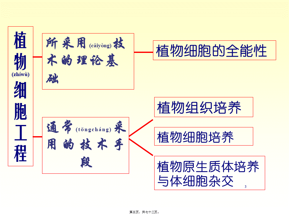 2022年医学专题—xb四、植物组织与细胞培养.ppt_第3页