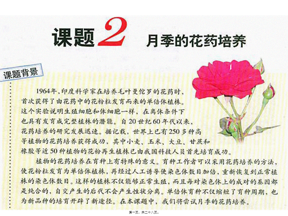 2022年医学专题—《月季的花药培养》zjc资料.ppt_第1页