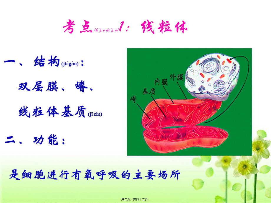 2022年医学专题—细胞呼吸-一轮复习.ppt_第2页