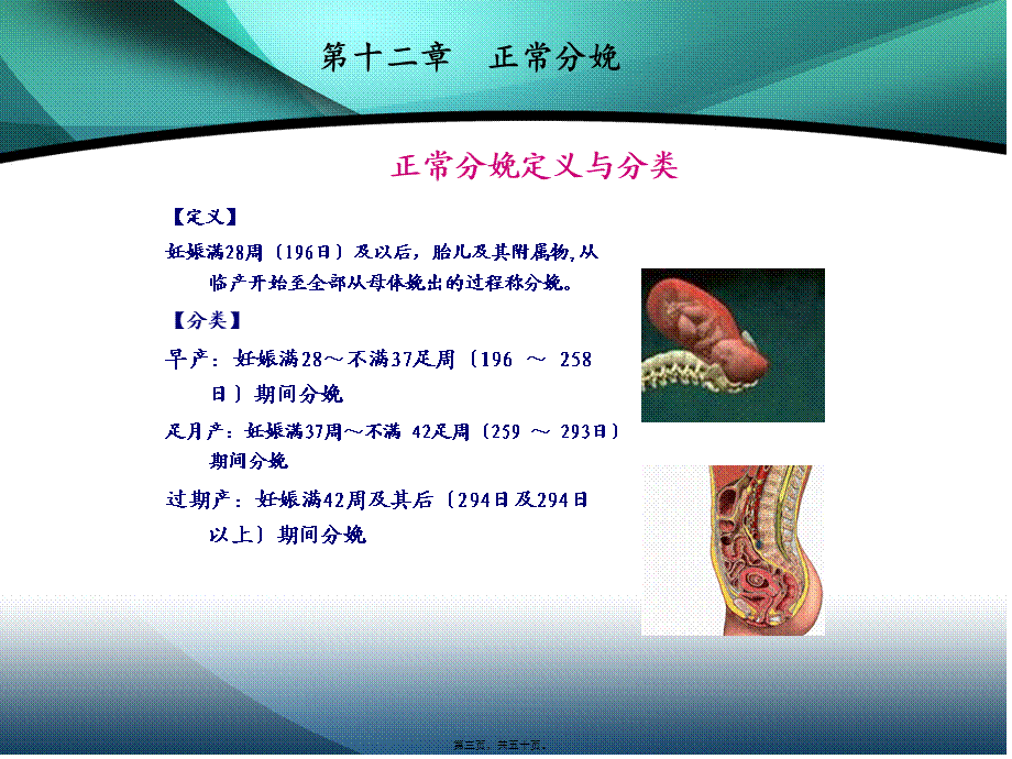 八年制正常分娩.pptx_第3页