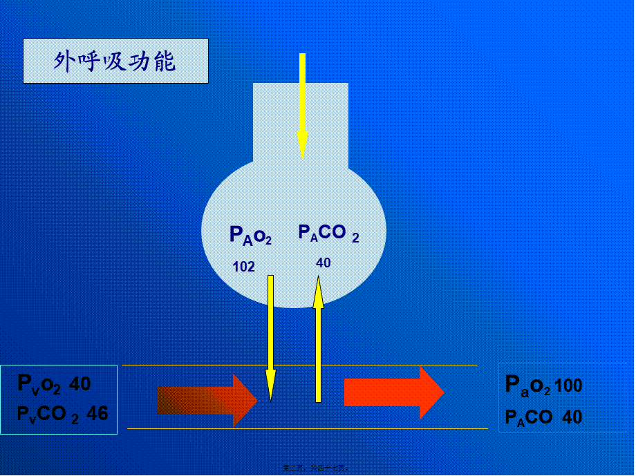 呼吸功能不全.pptx_第2页