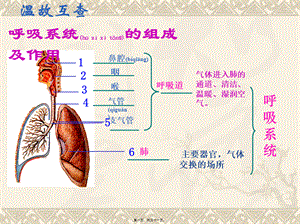 2022年医学专题—发生在肺内的气体交换PPT).ppt