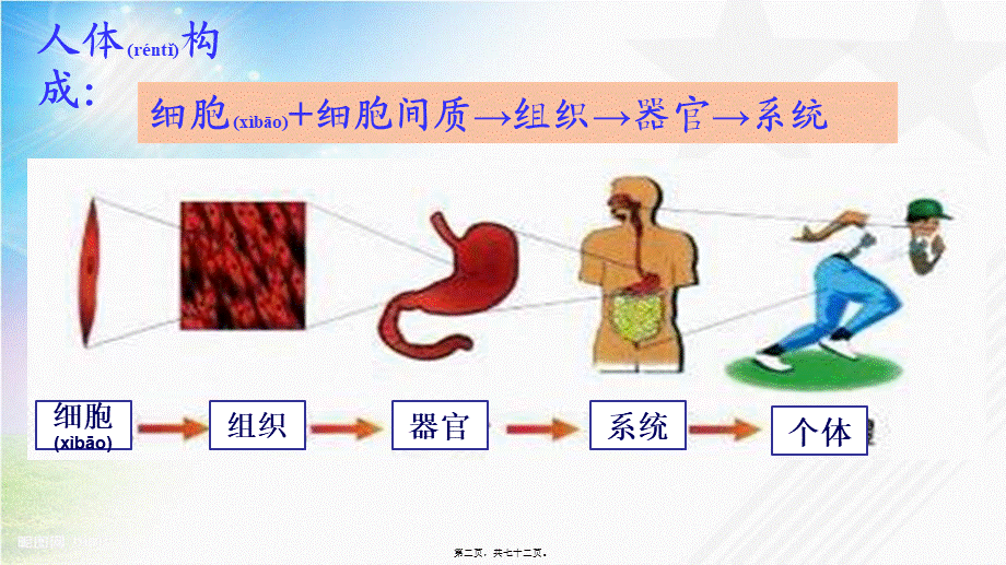 2022年医学专题—人体系统.ppt_第2页