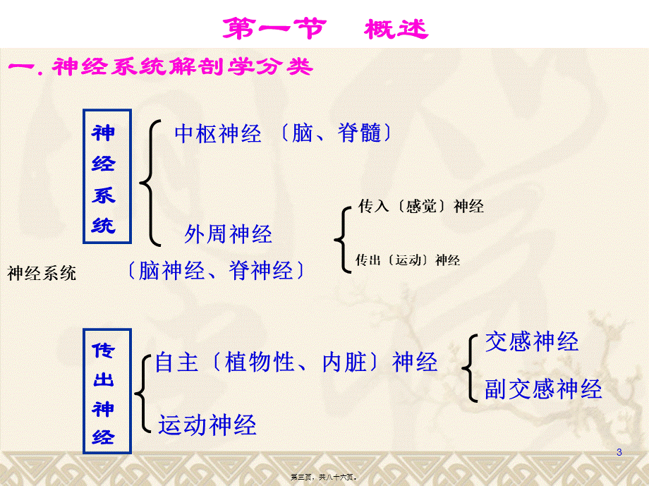 外周传出神经系统药.pptx_第3页