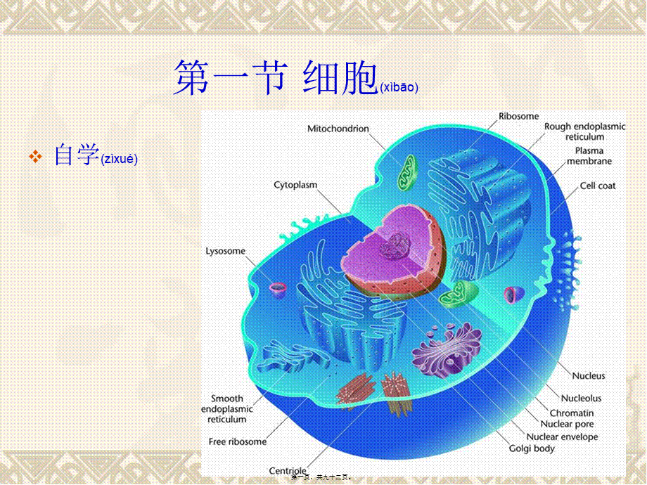 2022年医学专题—第二章遗传的细胞学基础.ppt_第1页