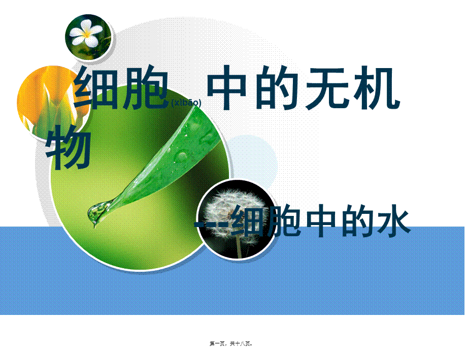 2022年医学专题—yml细胞中无机物.ppt_第1页