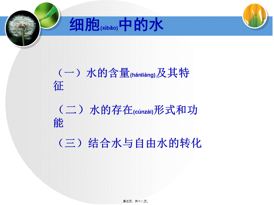 2022年医学专题—yml细胞中无机物.ppt_第3页