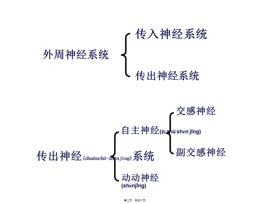 2022年医学专题—第5章传出神经系统药理概论.ppt_第2页