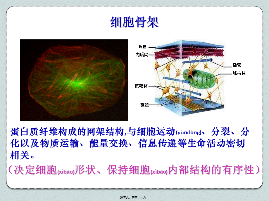 2022年医学专题—第3节-细胞质9.17-2.ppt_第3页