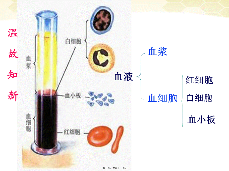 4.4-输血与血型综述.pptx_第1页