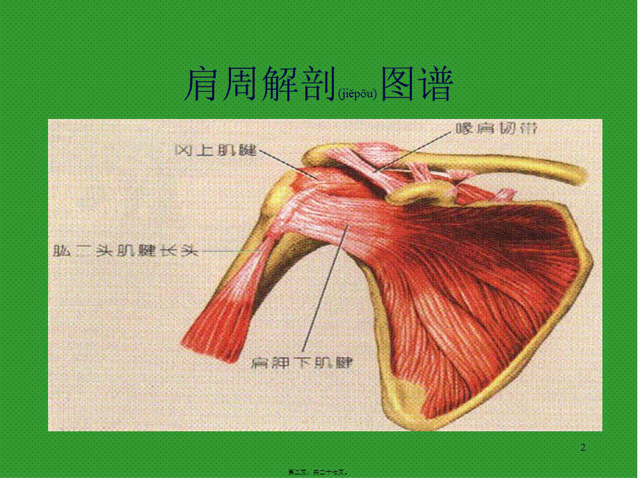 2022年医学专题—肩关节周围炎康复宣教幻灯.ppt_第2页