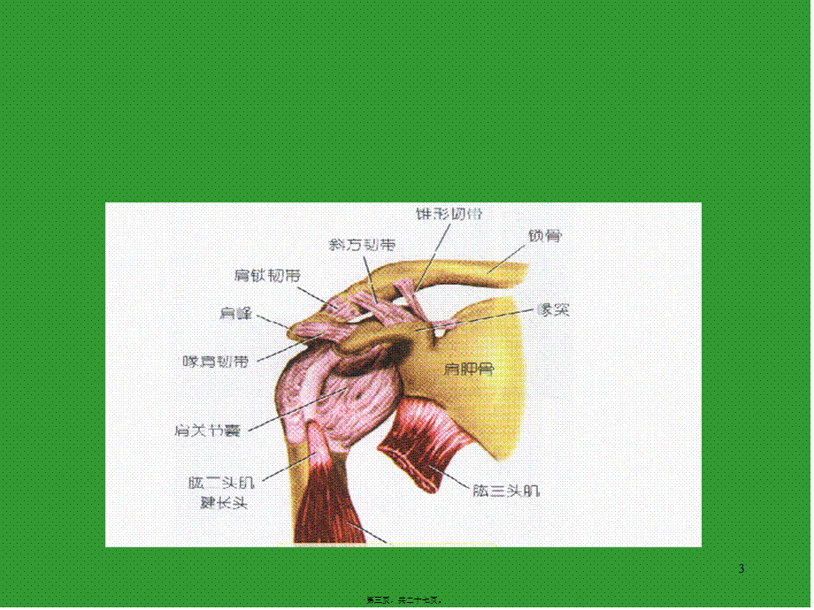 2022年医学专题—肩关节周围炎康复宣教幻灯.ppt_第3页