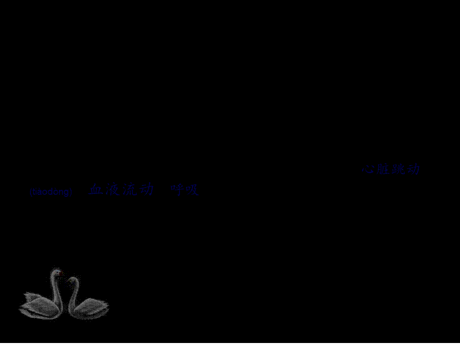 2022年医学专题—脑死亡与伦理.ppt_第2页