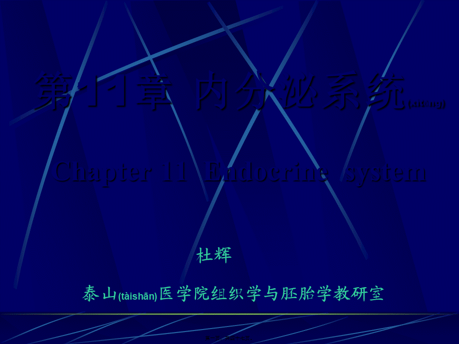 2022年医学专题—组织学与胚胎学-内分泌系统.ppt_第1页