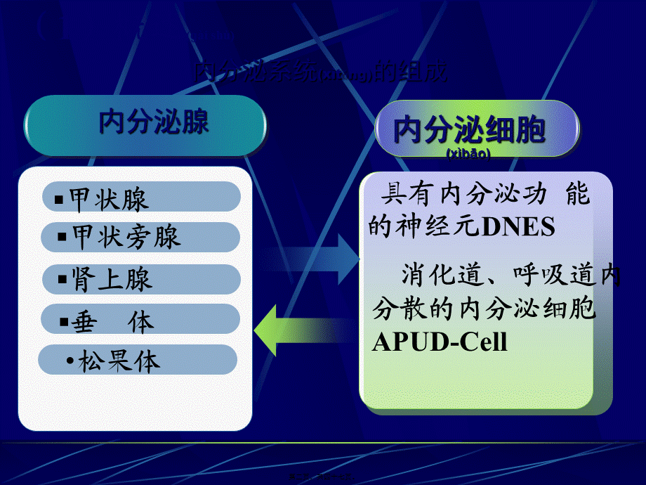 2022年医学专题—组织学与胚胎学-内分泌系统.ppt_第2页