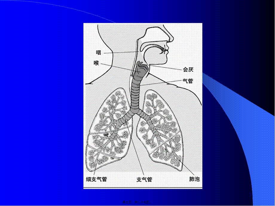呼吸系统常见病.pptx_第3页