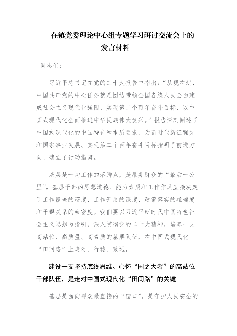 党组织2023年专题学习研讨交流会上的发言材料范文2篇.docx_第1页