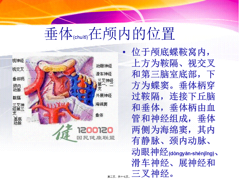 2022年医学专题—垂体瘤ppt1.ppt_第2页