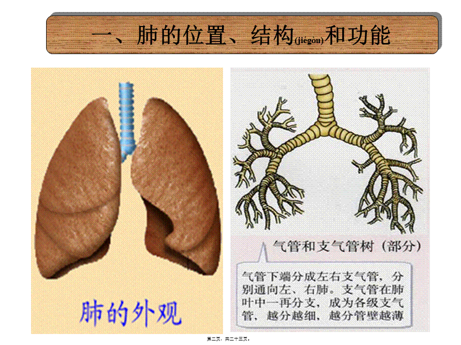 2022年医学专题—-3-2-发生在肺内的气体交换.ppt_第2页