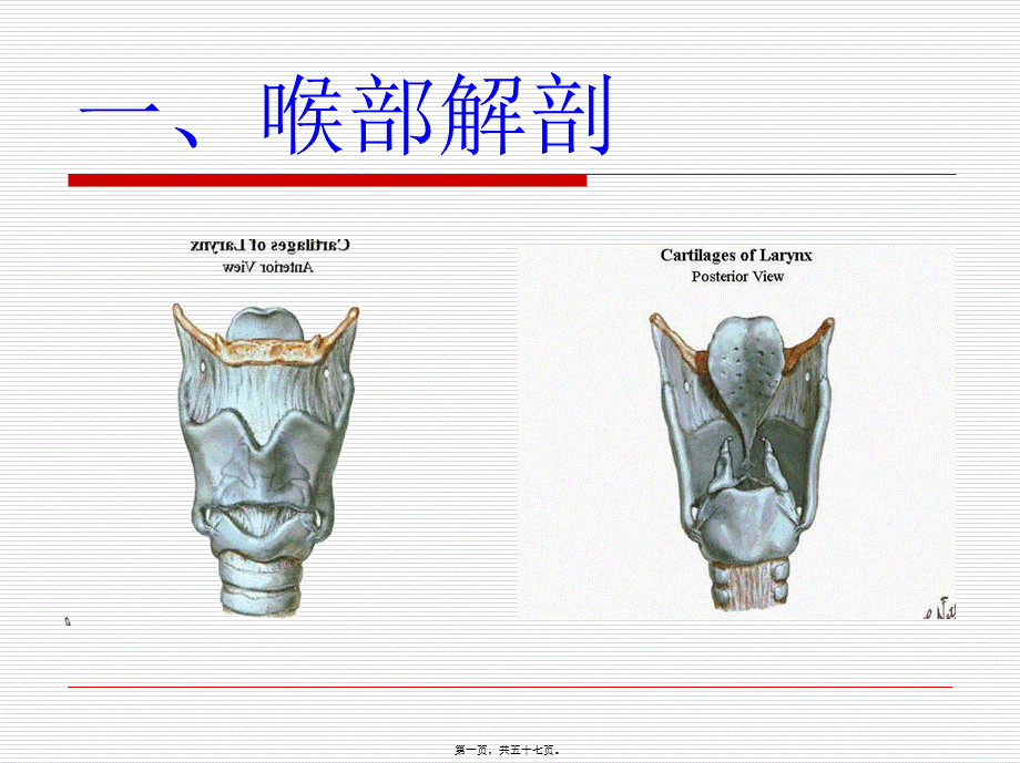 实用气管插管术.pptx_第1页