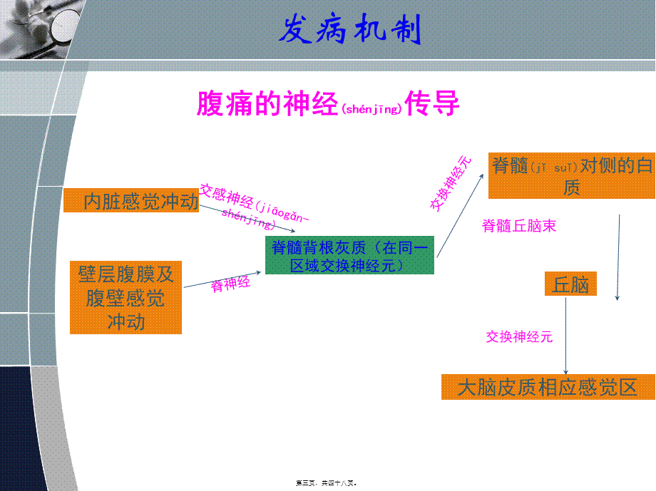 2022年医学专题—急腹症的分诊-1.ppt_第3页