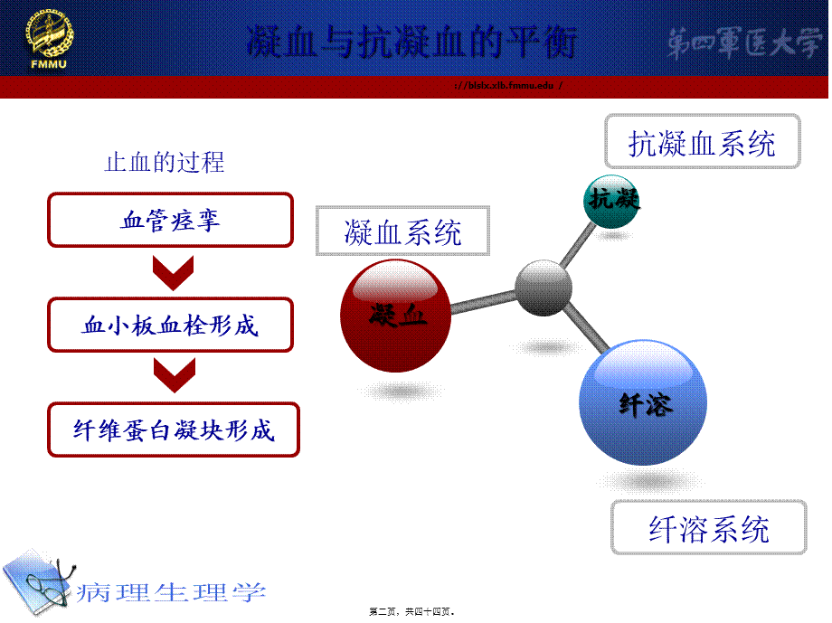 凝血和抗凝.pptx_第2页