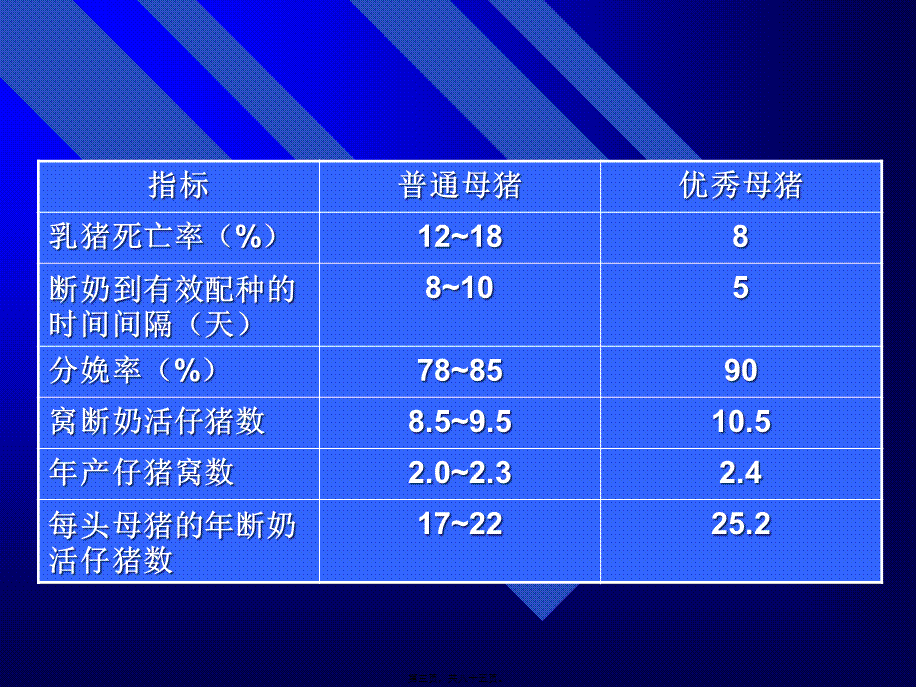 【2019-2020年整理】母猪营养.pptx_第3页