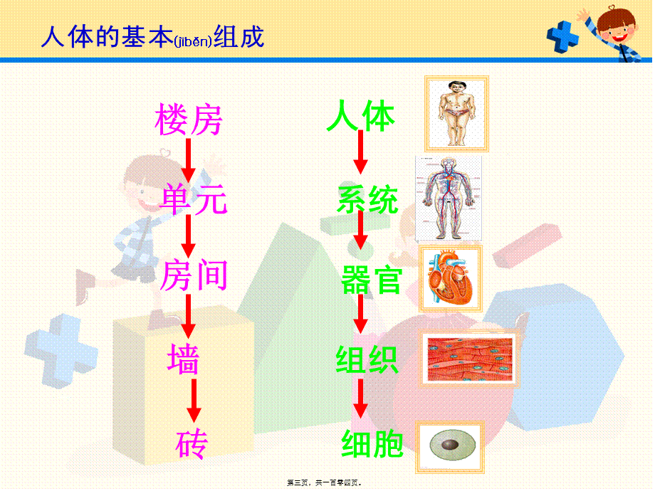 2022年医学专题—人体奥秘.ppt_第3页