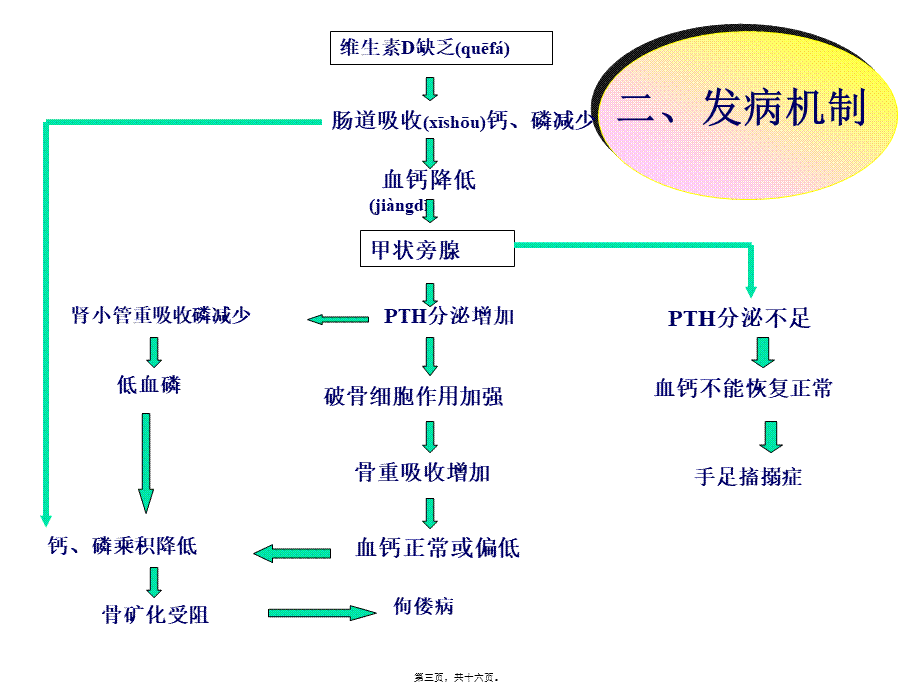 2022年医学专题—第七节、维生素D缺乏性手足搐搦症.ppt_第3页