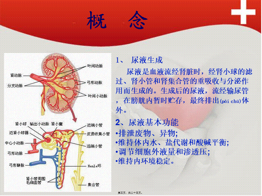 2022年医学专题—尿液标本的采集与处理-李亭亭.ppt_第3页