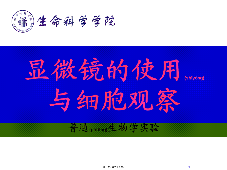 2022年医学专题—显微镜的使用与细胞观察.ppt_第1页