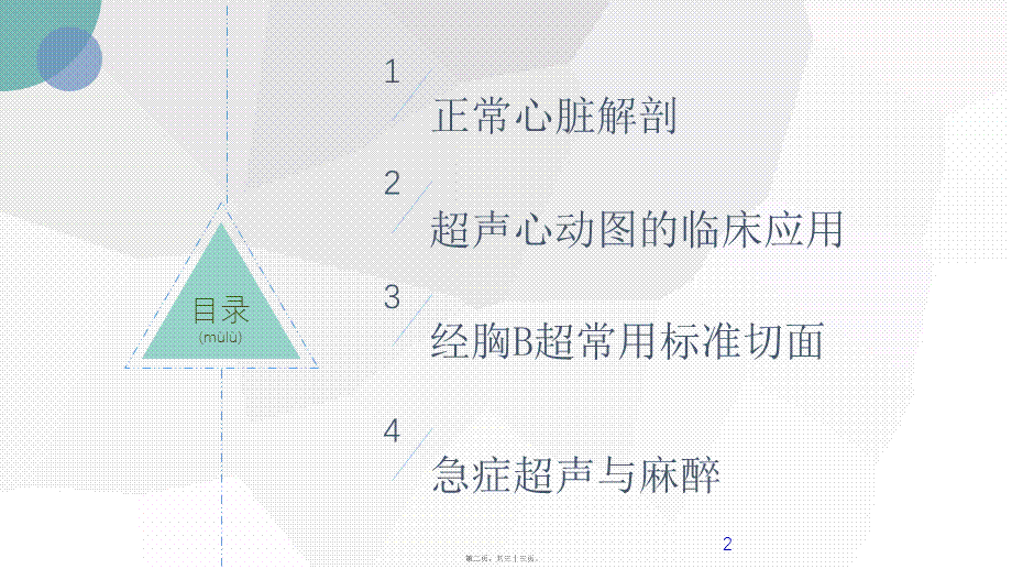 2022年医学专题—心脏B超.pptx_第2页