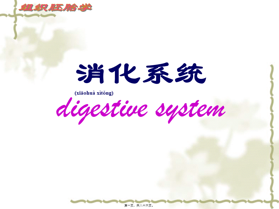 2022年医学专题—消化系统细微结构.ppt_第1页