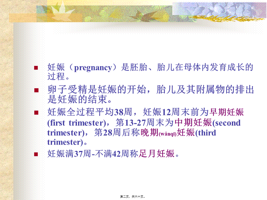 2022年医学专题—妊娠期母体变化.ppt_第2页