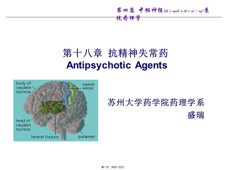 2022年医学专题—第二十五章-抗精神失常药2.ppt_第1页