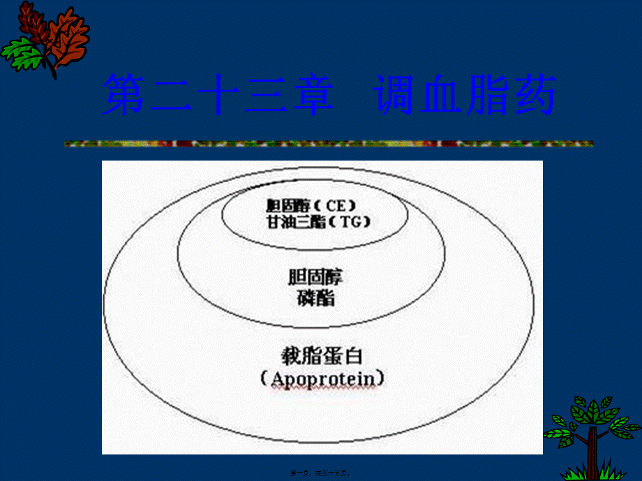 2022年医学专题—抗动脉粥样硬化药摘要.ppt_第1页