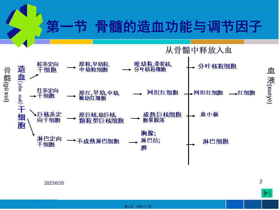 2022年医学专题—血液毒理.ppt_第2页