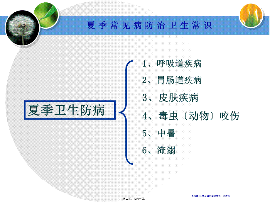 夏季防病及意外防护.pptx_第2页