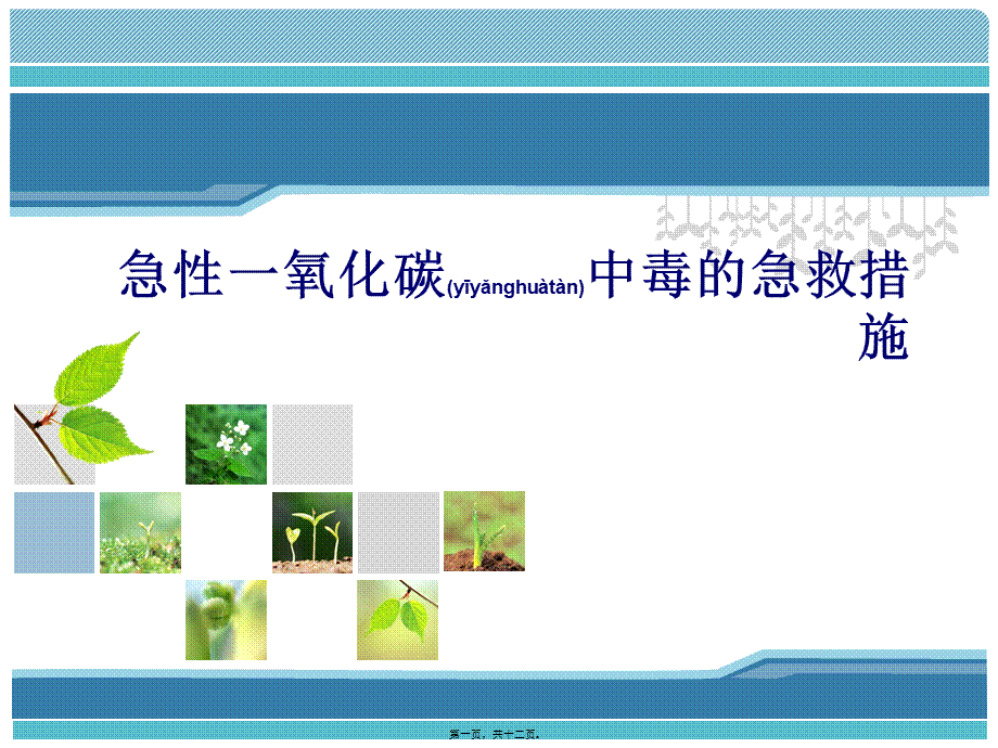 2022年医学专题—急性一氧化碳中毒的急救.ppt_第1页