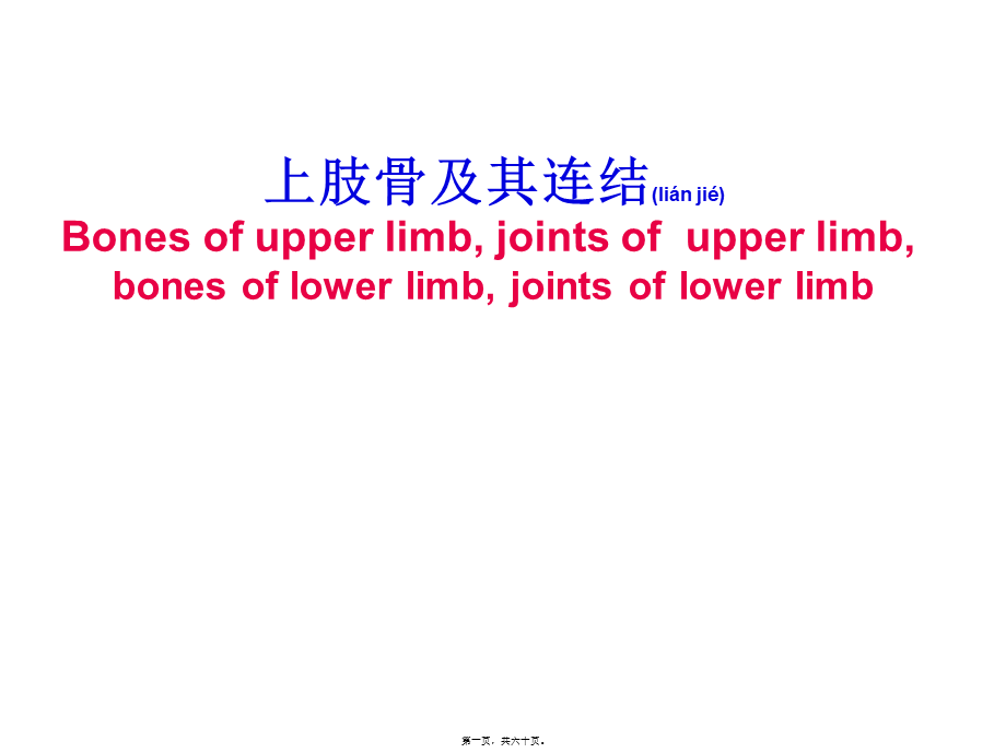 2022年医学专题—上肢骨及其连结、下肢骨及其连结.ppt_第1页