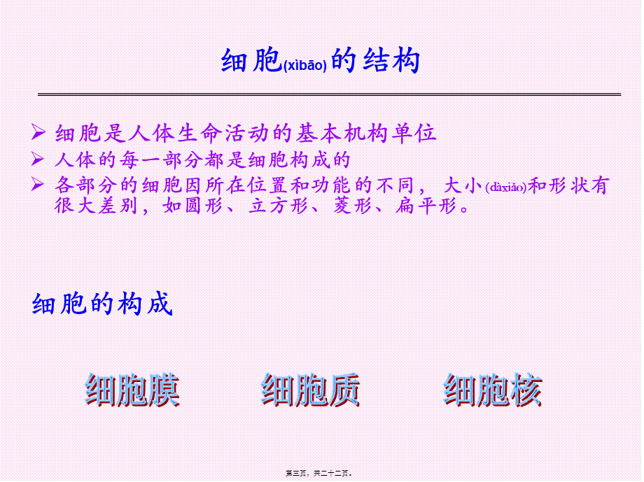 2022年医学专题—皮肤生理知识--概论.ppt_第3页