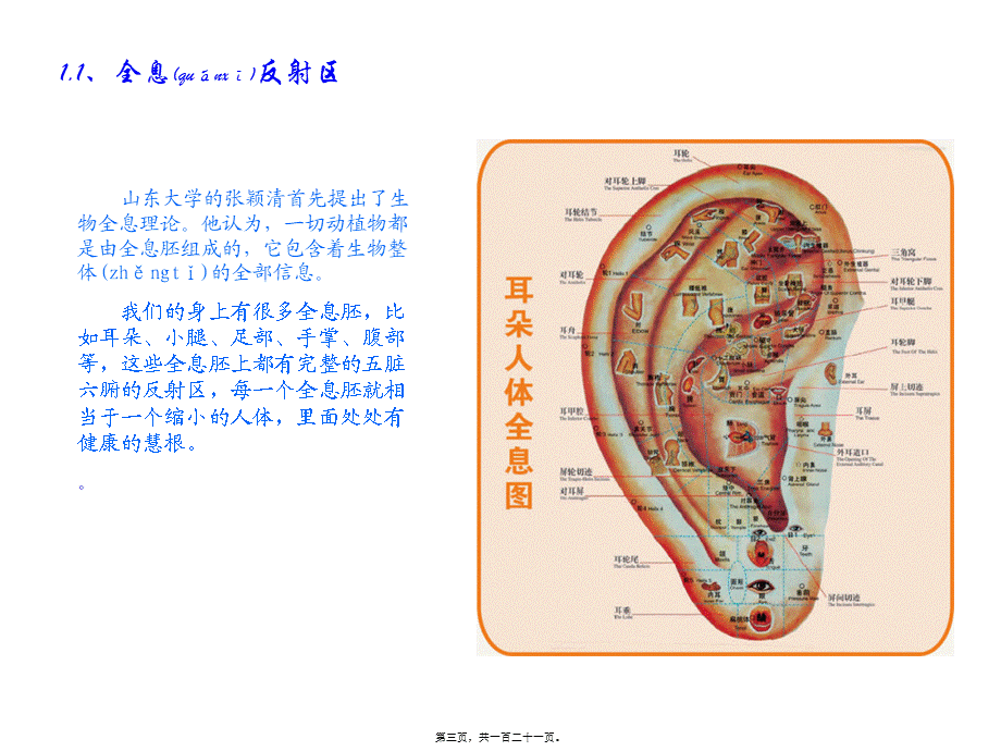 2022年医学专题—手到病自除-足底按摩.ppt_第3页