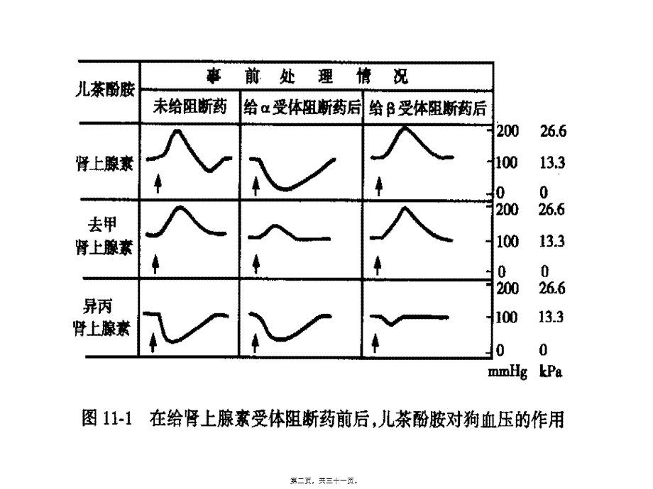 受体阻断药.pptx_第2页