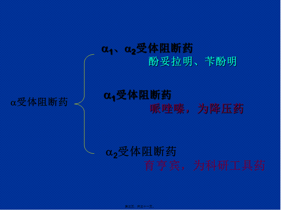 受体阻断药.pptx_第3页